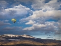 20101218Grizzly_9606-BalloonFlip20070921-278-web_